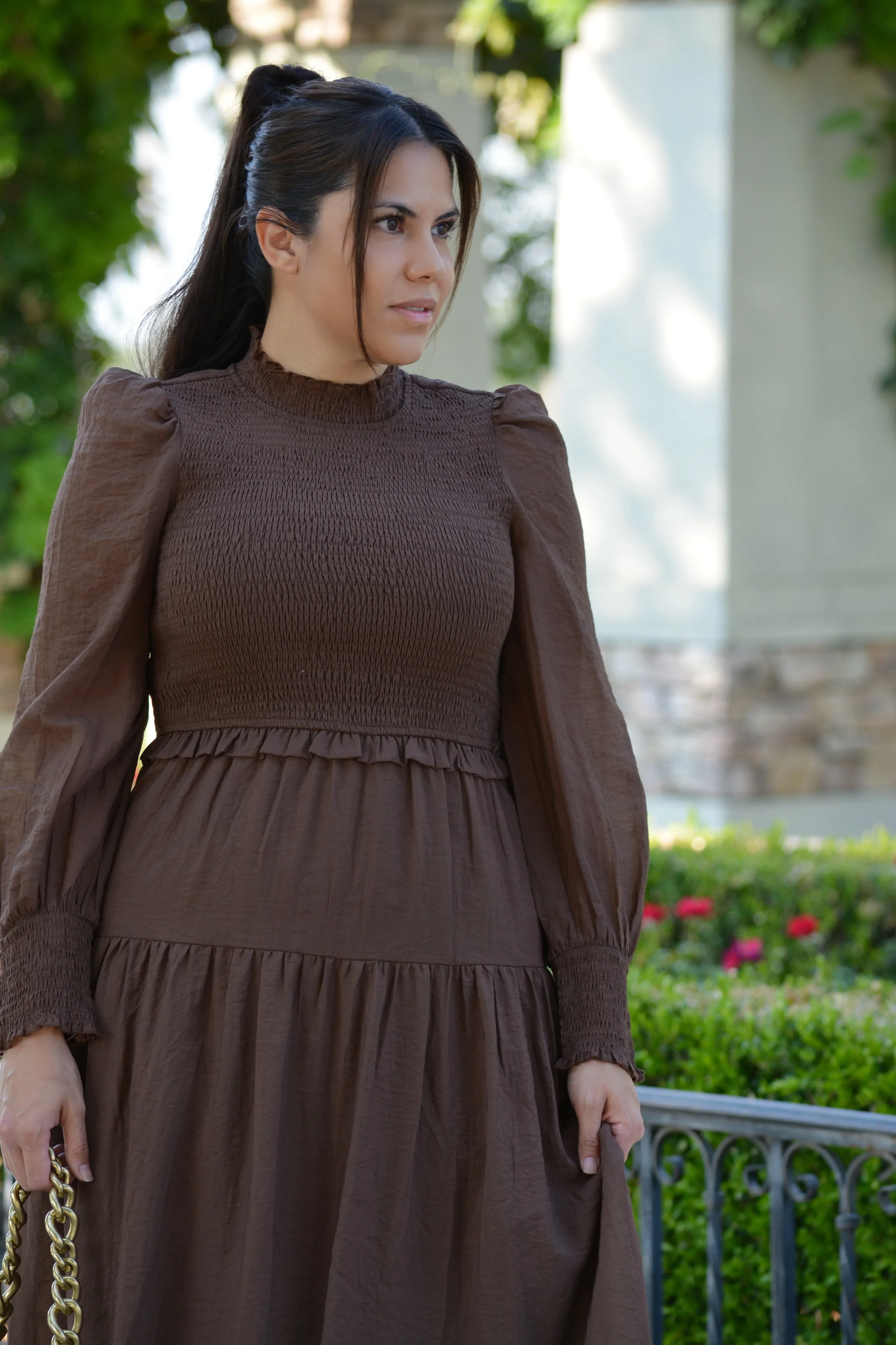 Ally Brown Smocked Dress