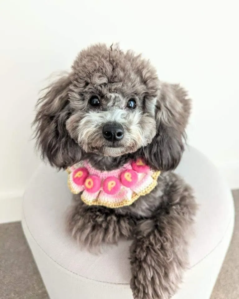Crochet Cape: Eye Candy Personalized Cape (Pre-Order)
