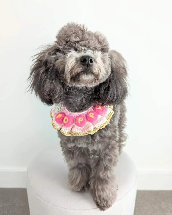 Crochet Cape: Eye Candy Personalized Cape (Pre-Order)