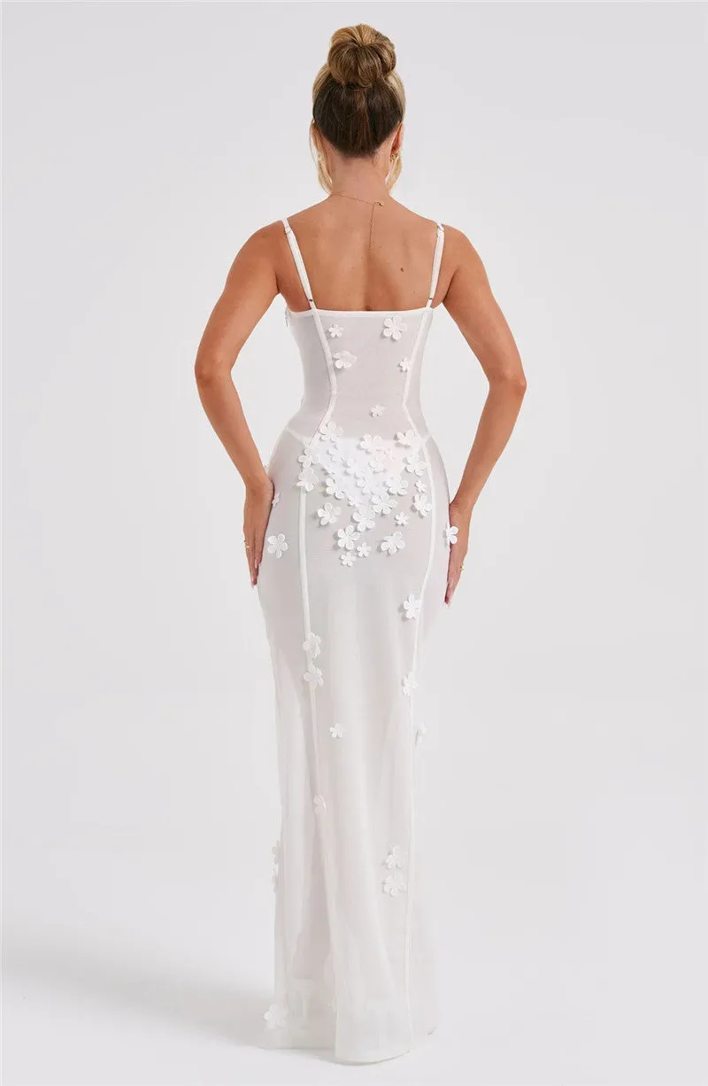Dorothy Sheer Mesh Sexy Maxi Dress