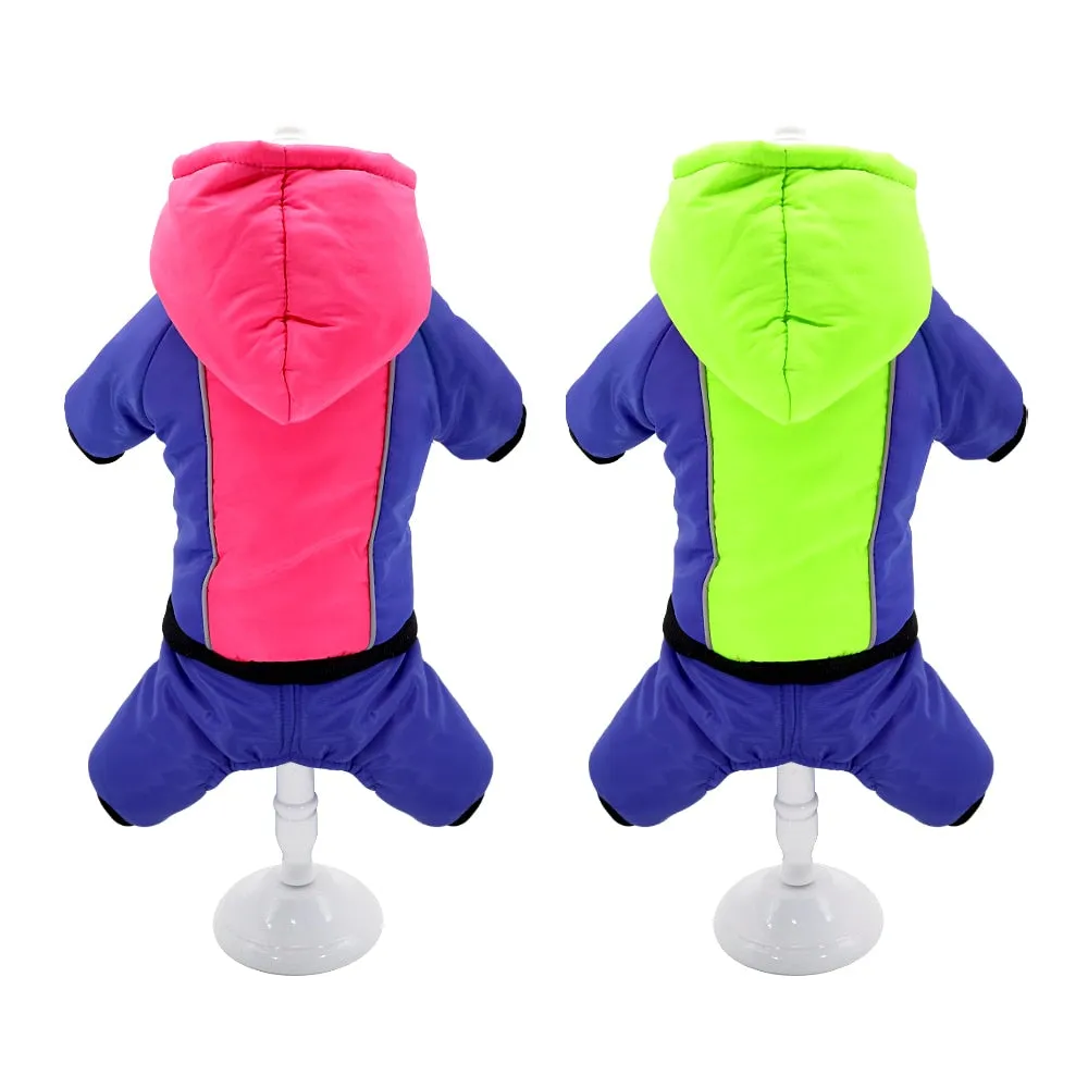 Luna - Jacket for French Bulldog (WS308)