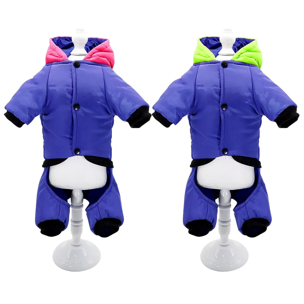 Luna - Jacket for French Bulldog (WS308)