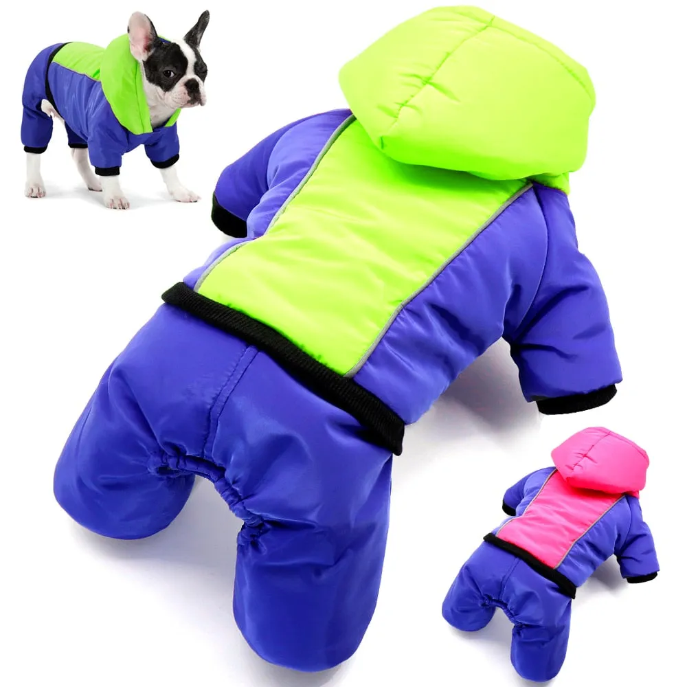 Luna - Jacket for French Bulldog (WS308)