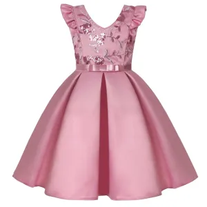 Princess Dress for Girls Tutu