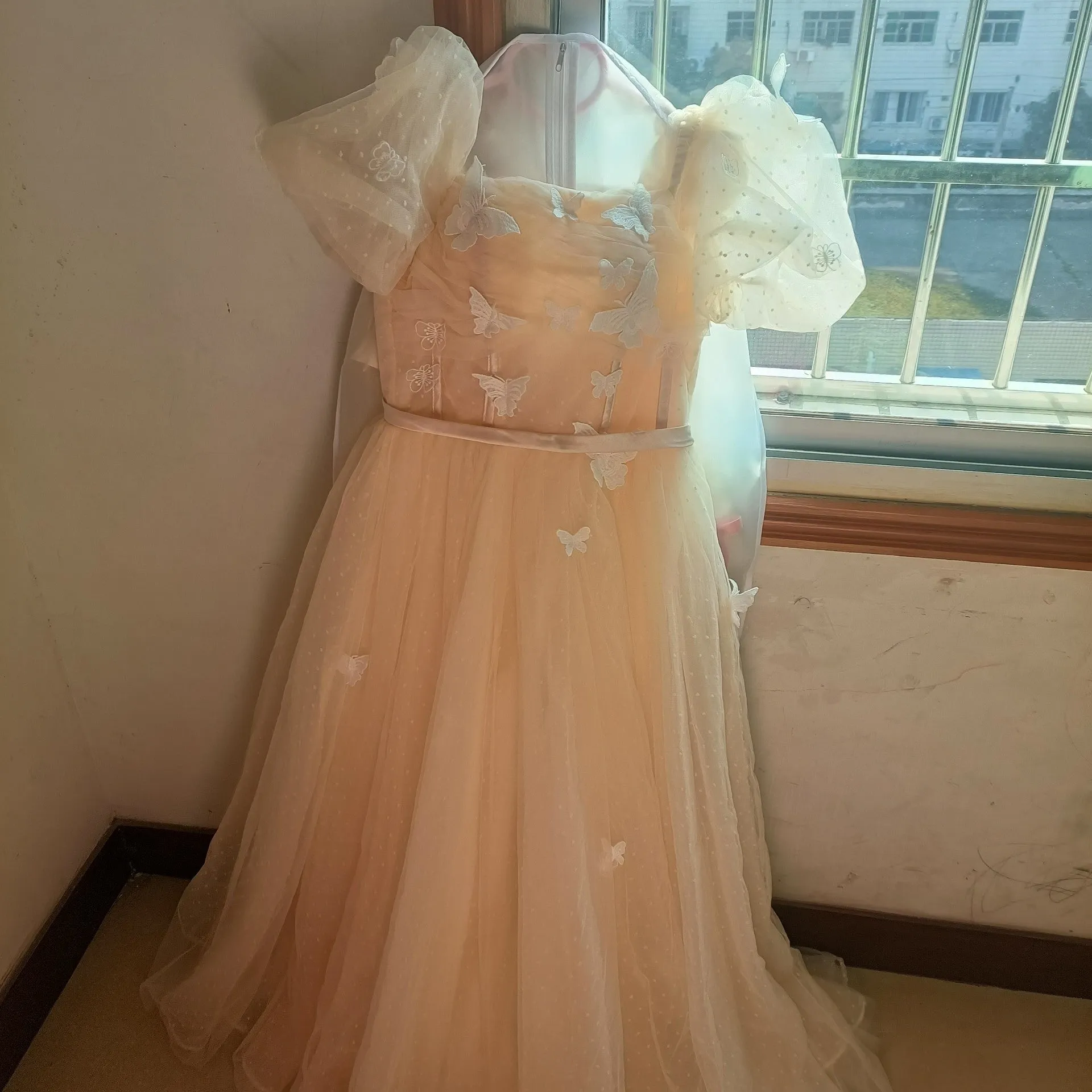 Retro Ethereal Butterfly Decor Prom Dress