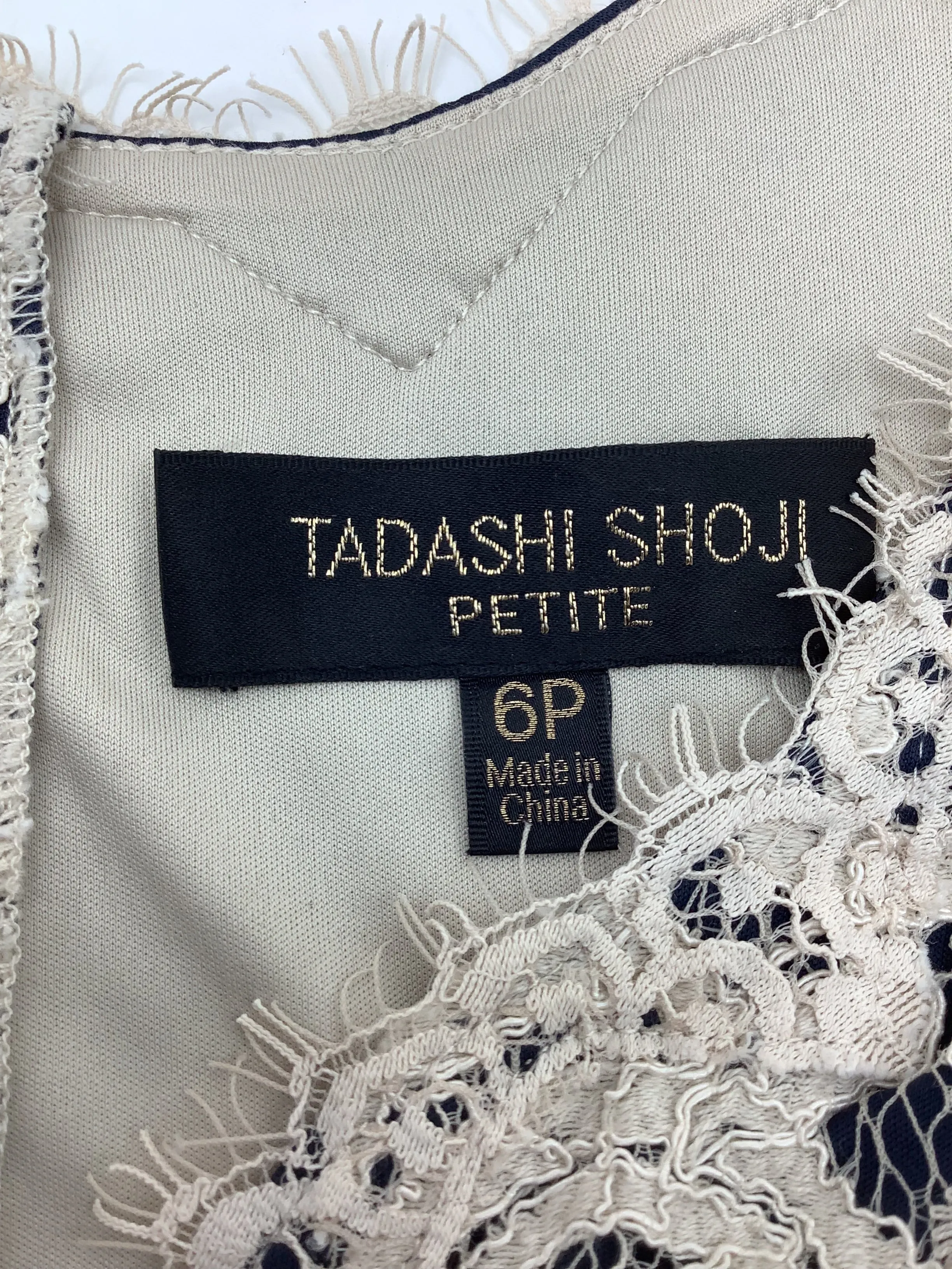 Tadashi Shoji V Neck Midi Length Lace Pattern Dress Size: 6