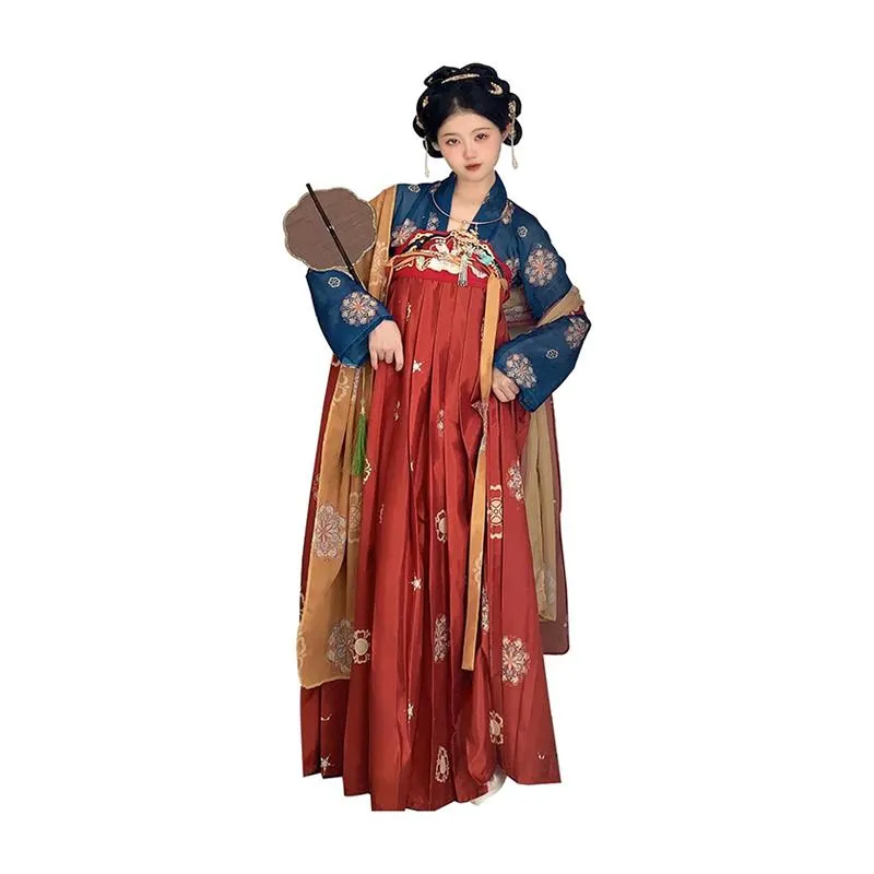 Tang Dynasty Inspired Hanfu Dress