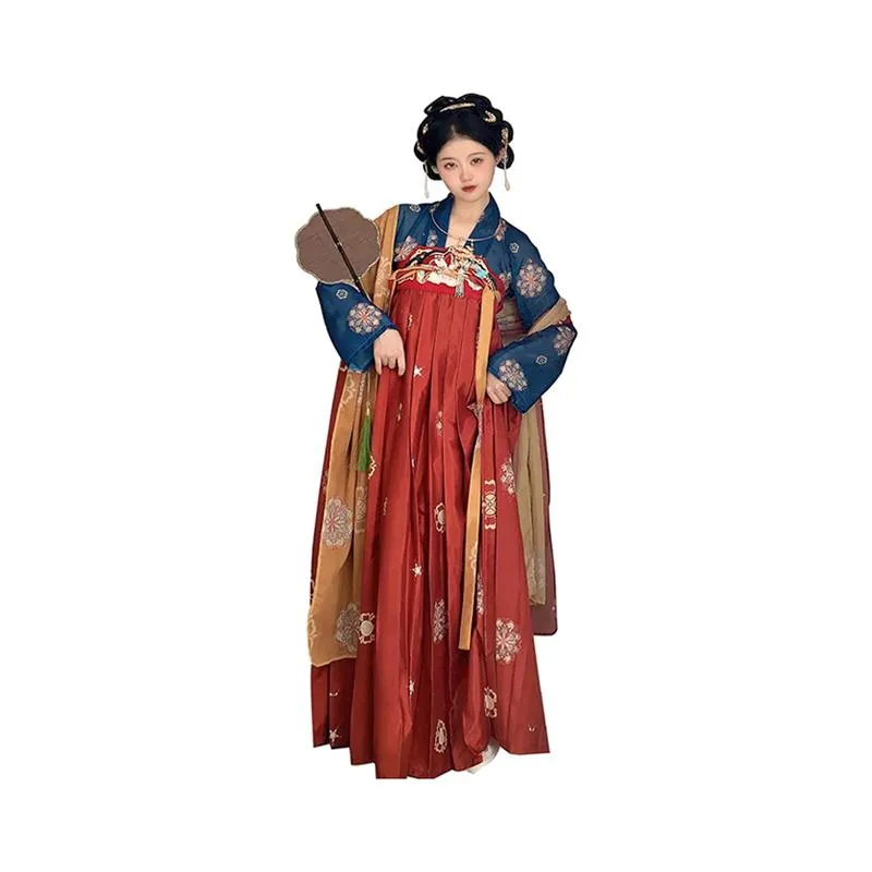 Tang Dynasty Inspired Hanfu Dress