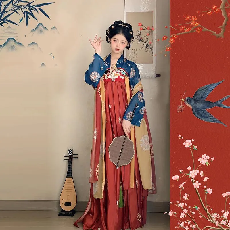 Tang Dynasty Inspired Hanfu Dress