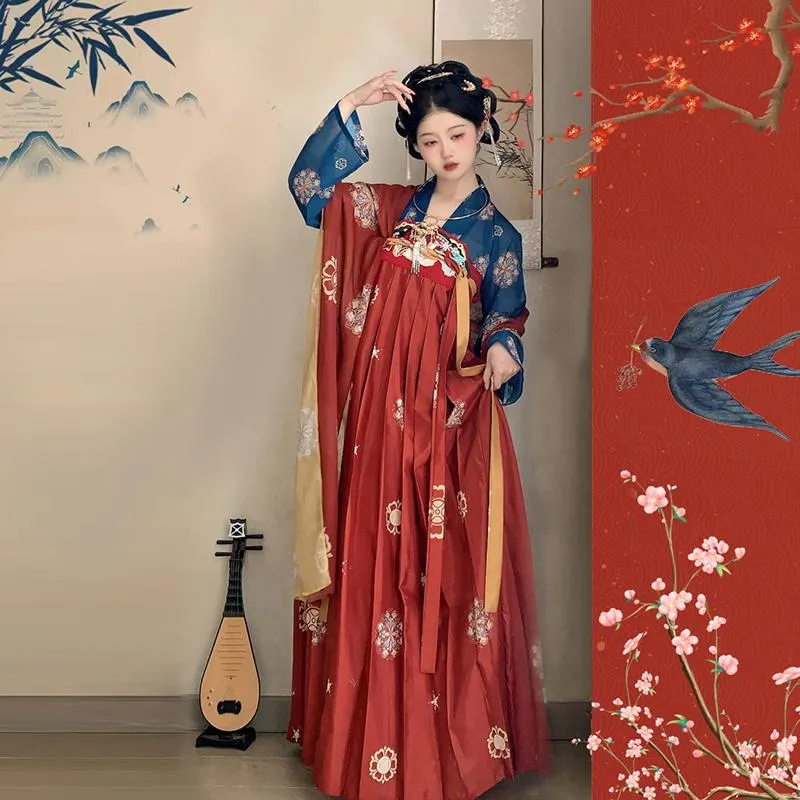 Tang Dynasty Inspired Hanfu Dress