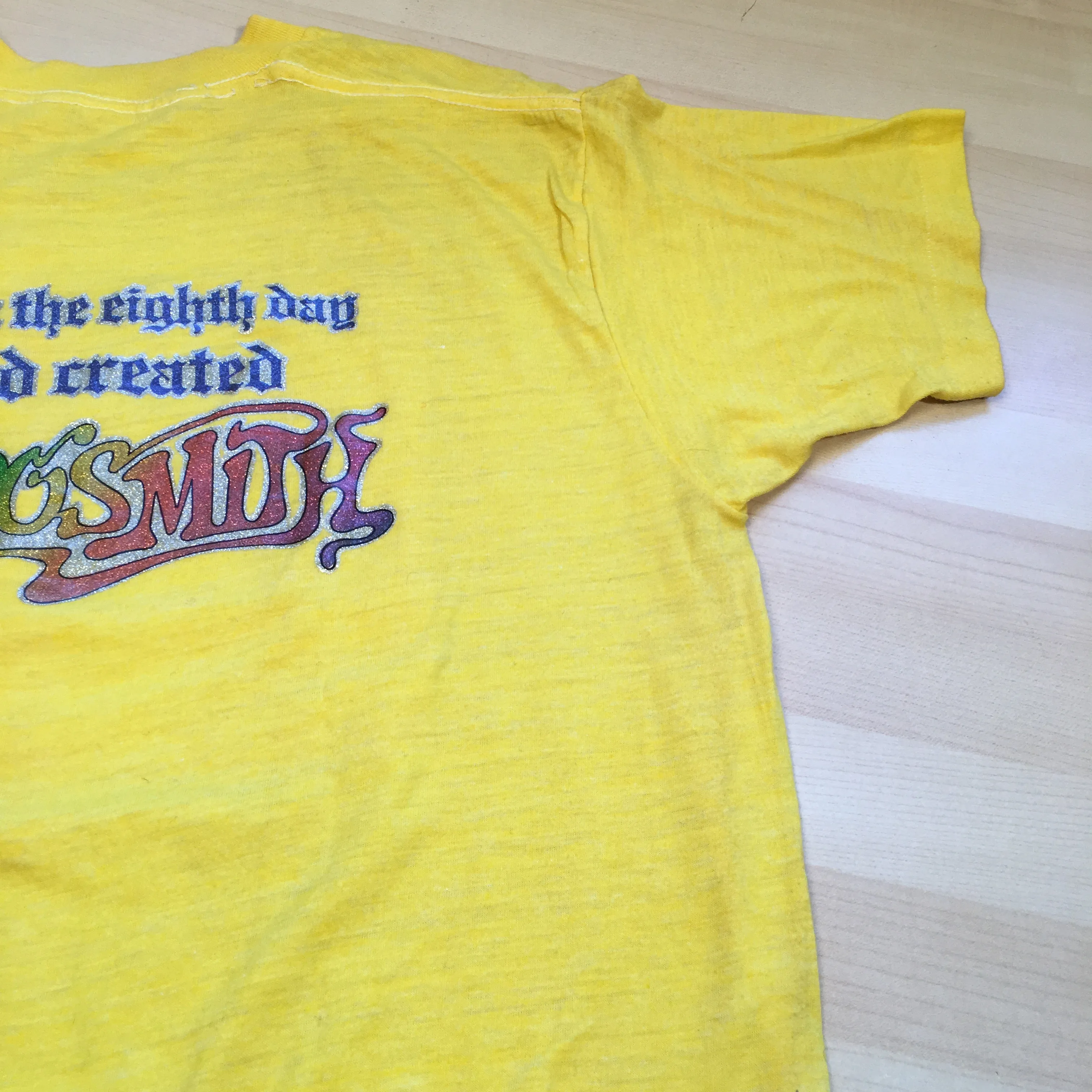 Vintage Lynyrd Skynyrd Aerosmith "Street Survivors" T-Shirt