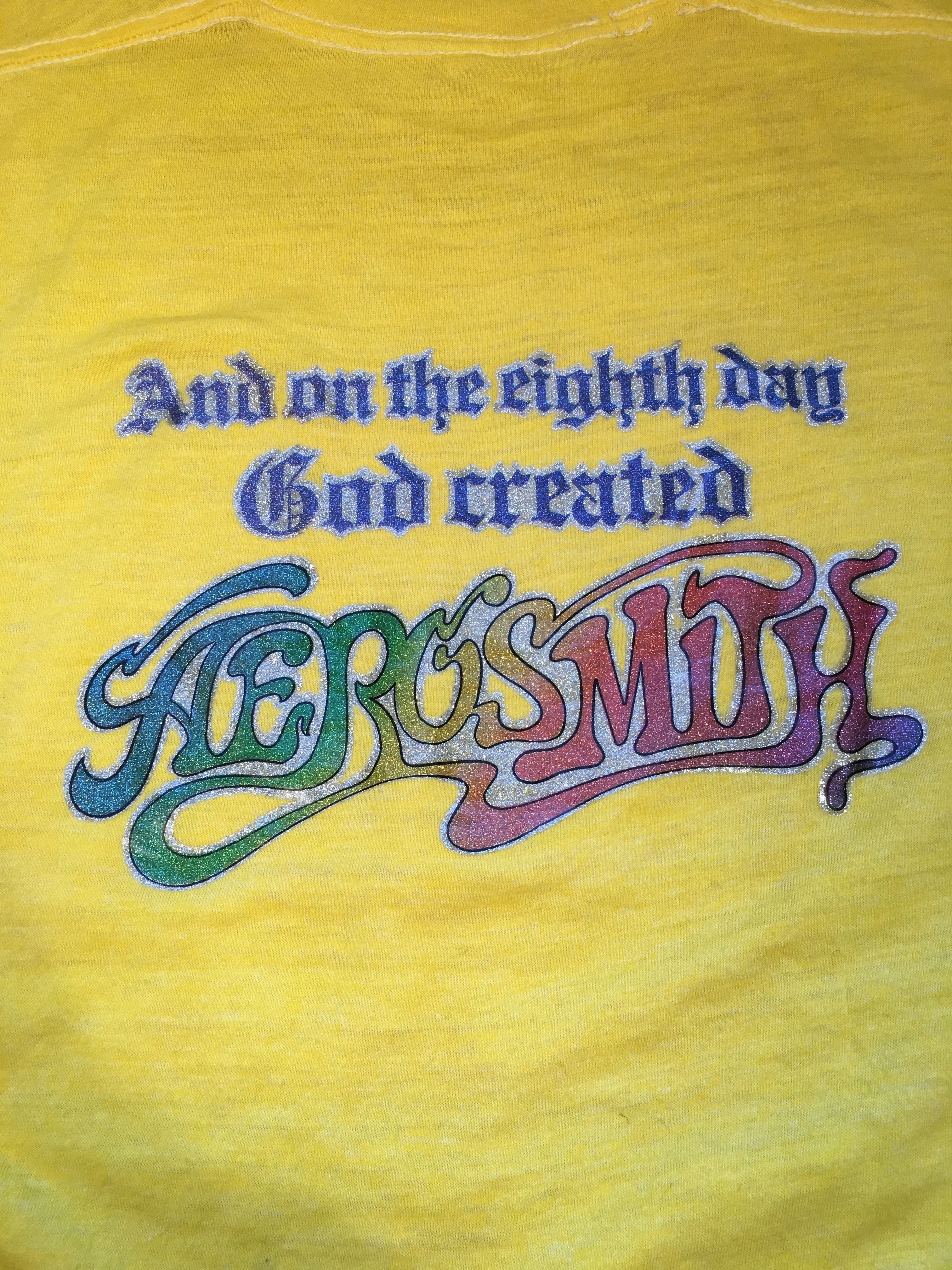 Vintage Lynyrd Skynyrd Aerosmith "Street Survivors" T-Shirt