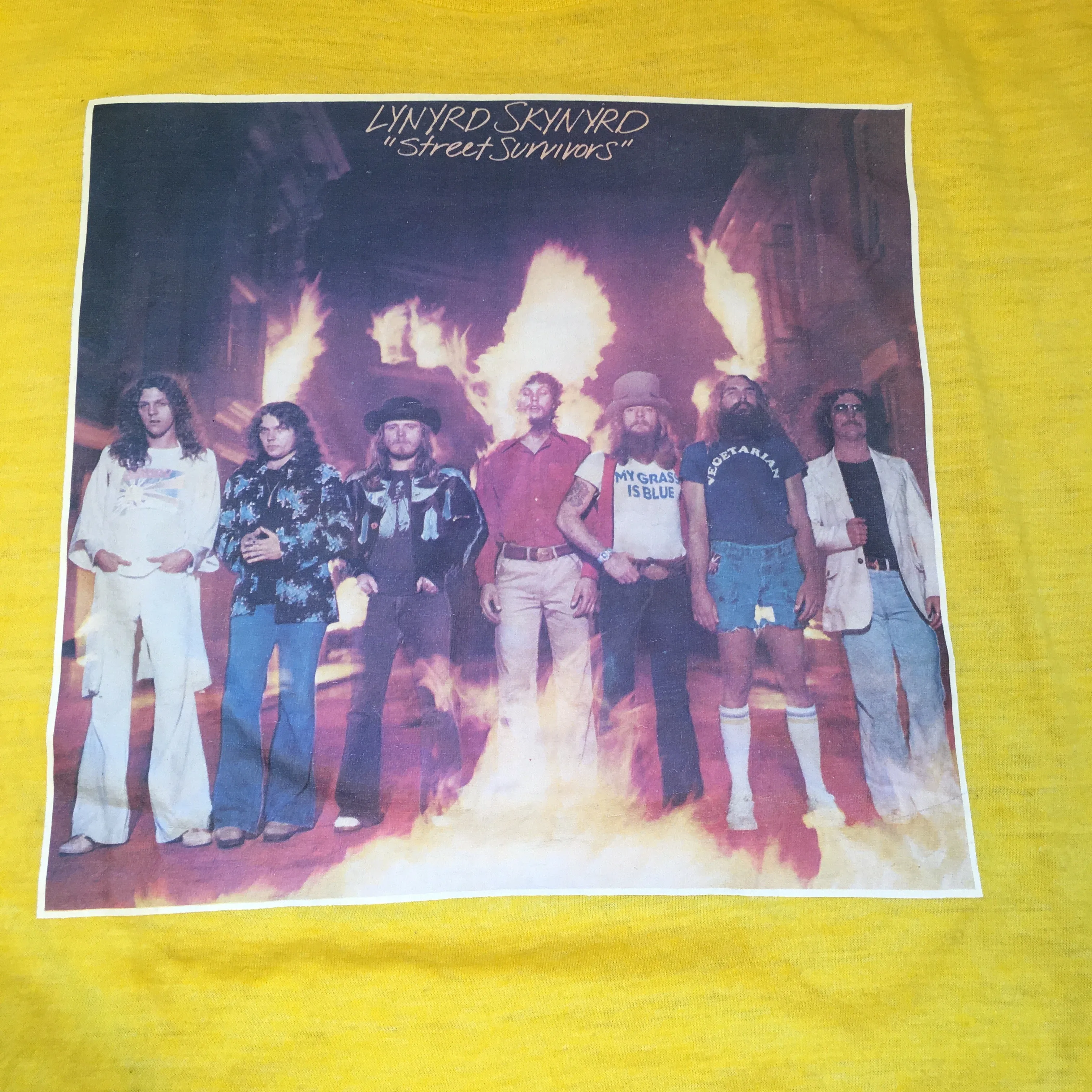 Vintage Lynyrd Skynyrd Aerosmith "Street Survivors" T-Shirt
