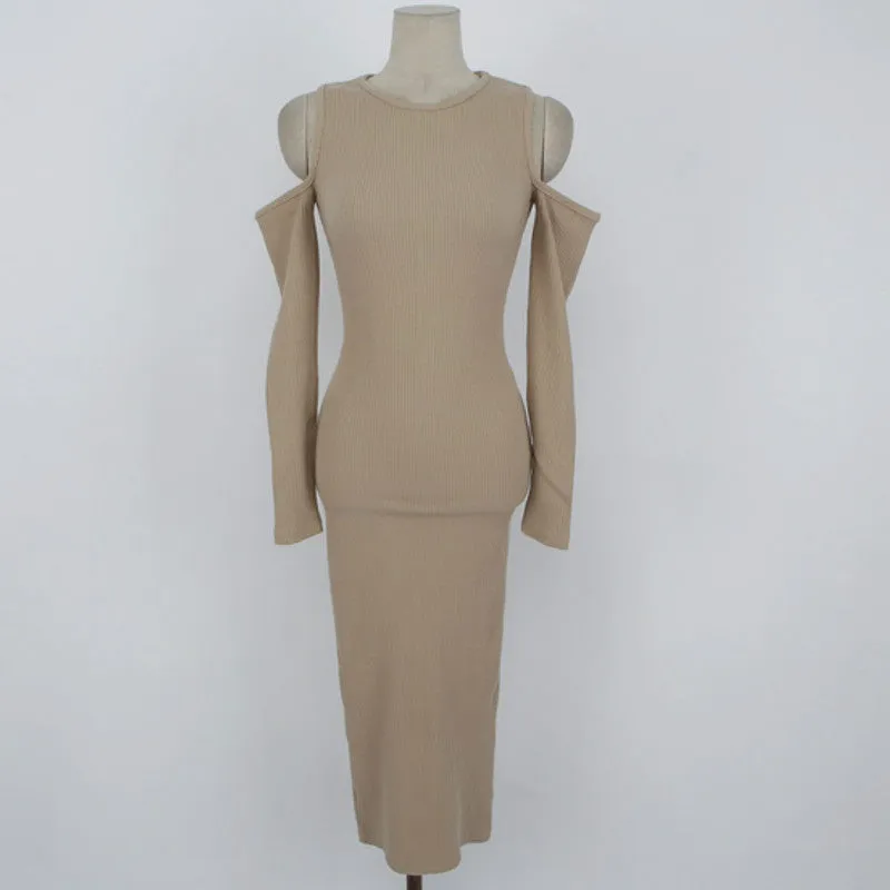 Women's Spring/Autumn Sweater Sheath Long Dress