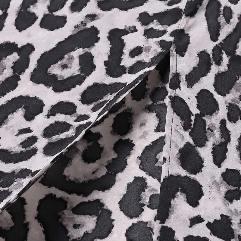 Women's Summer A-Line V-Neck Leopard Long Dress